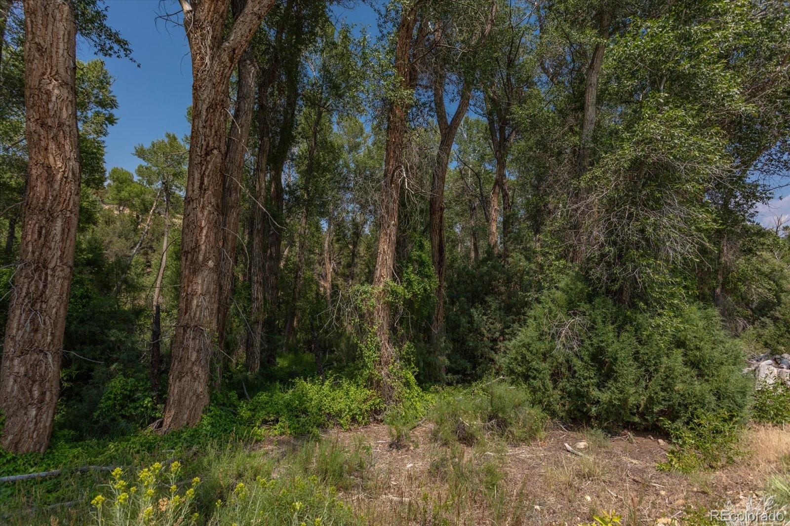 7925 Cozart Lane Salida CO 81201