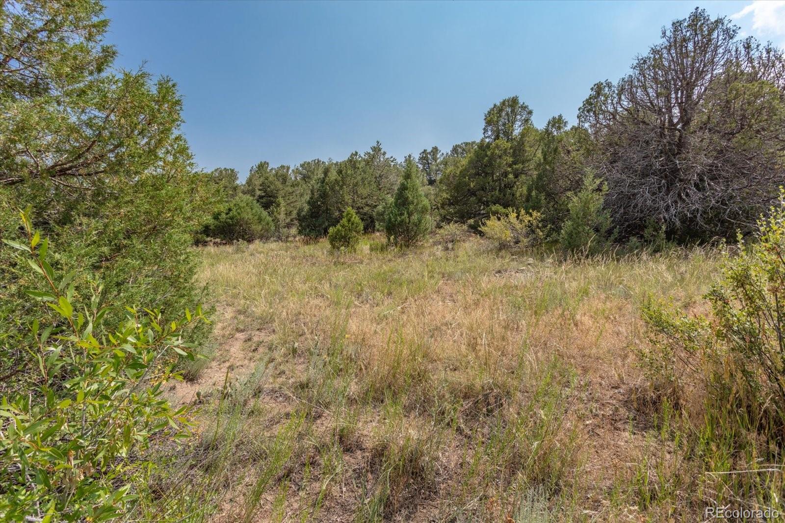 7925 Cozart Lane Salida CO 81201