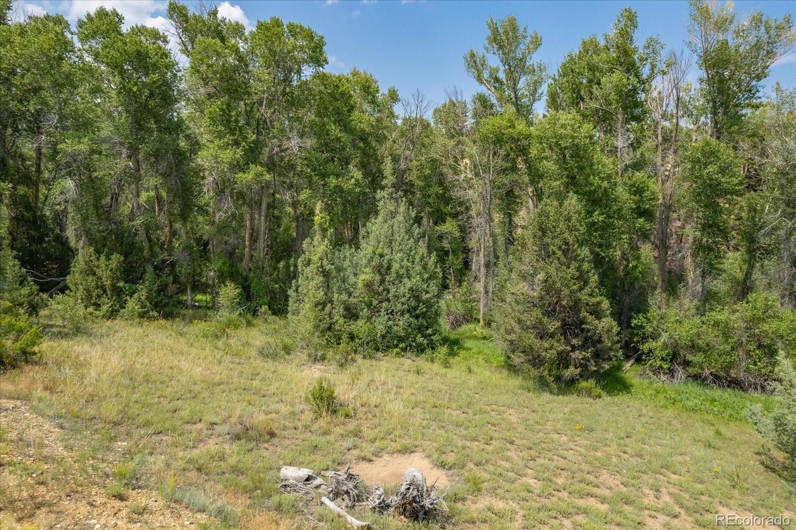 7925 Cozart Lane Salida CO 81201