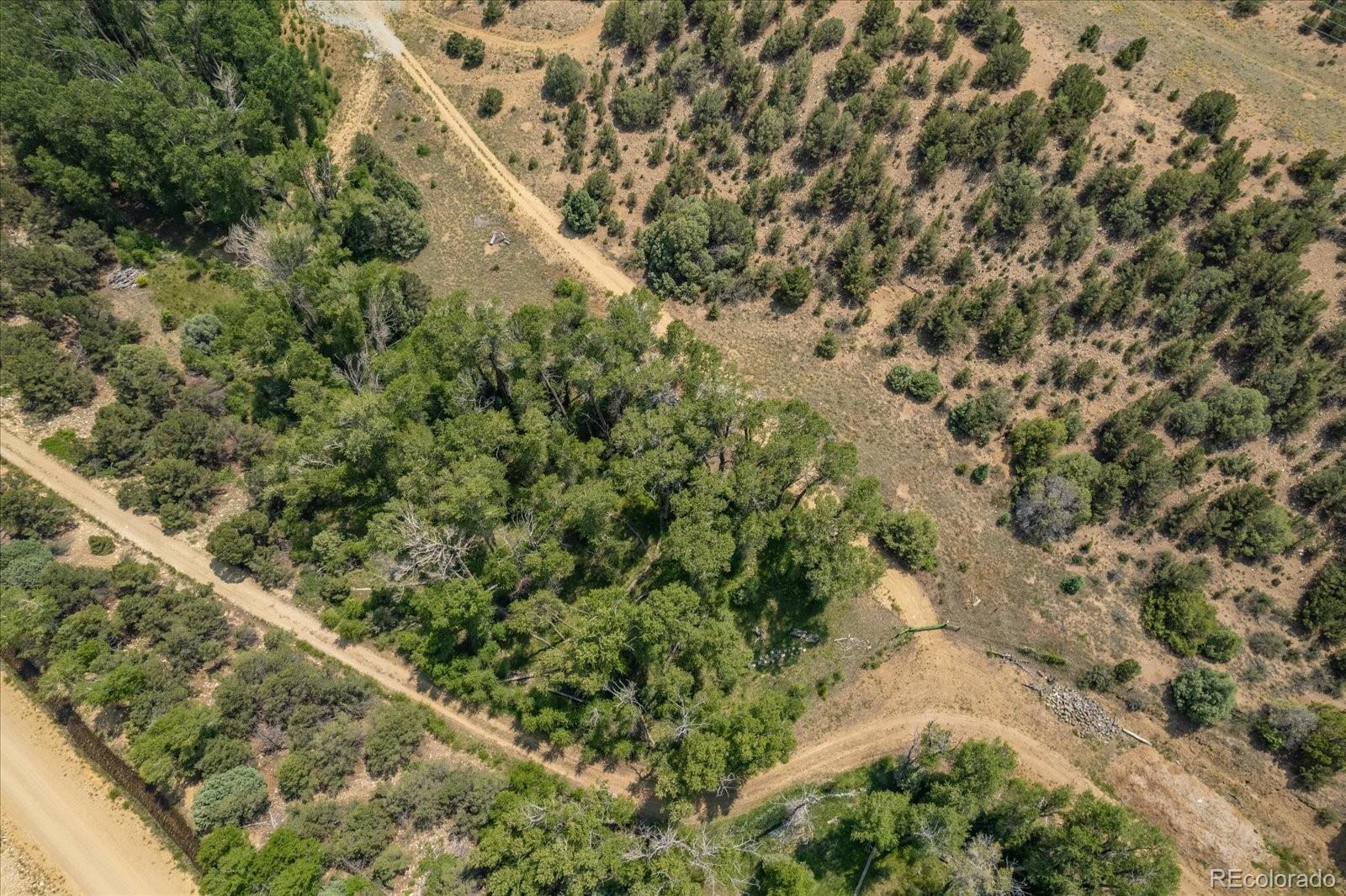7925 Cozart Lane Salida CO 81201