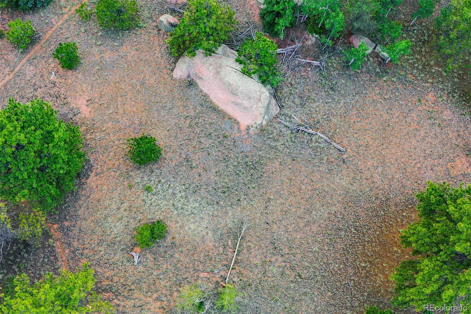549 Spring Valley Lane Florissant CO 80816