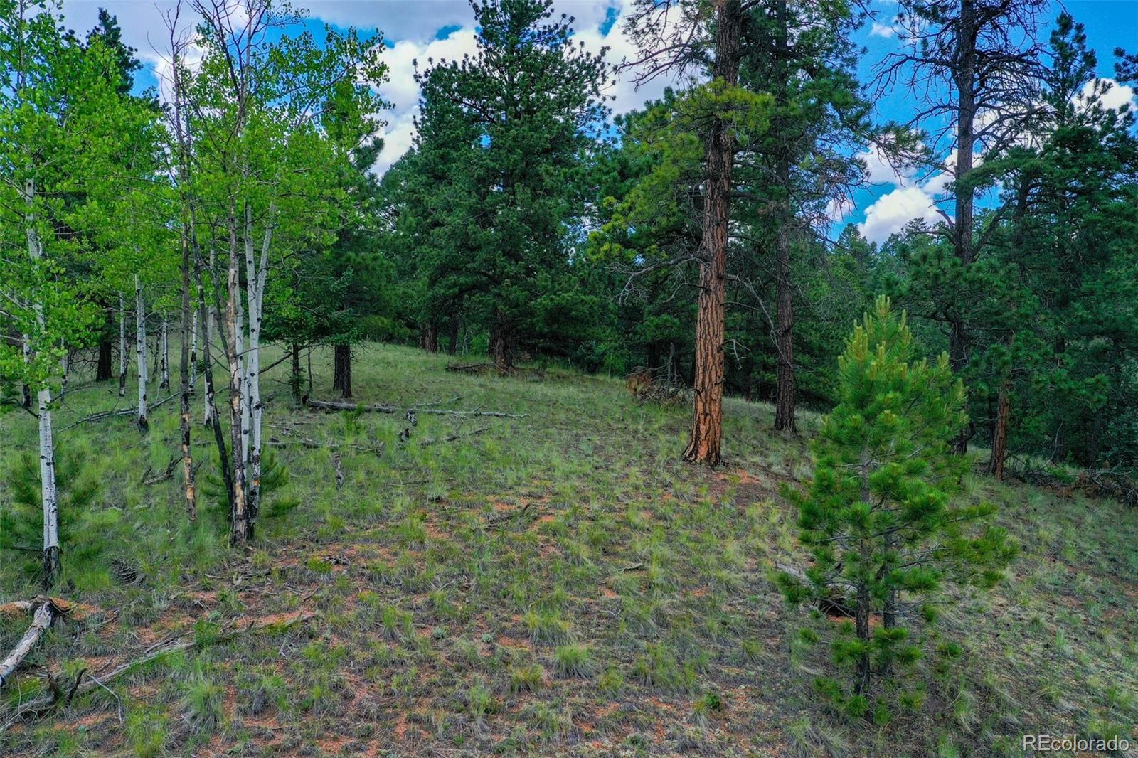 549 Spring Valley Lane Florissant CO 80816