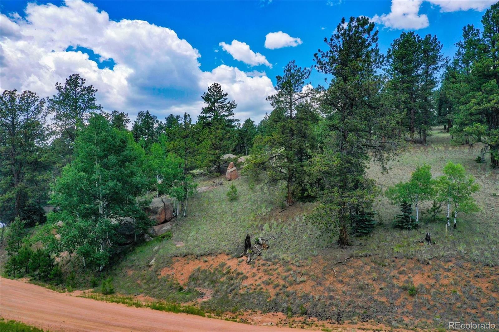 549 Spring Valley Lane Florissant CO 80816