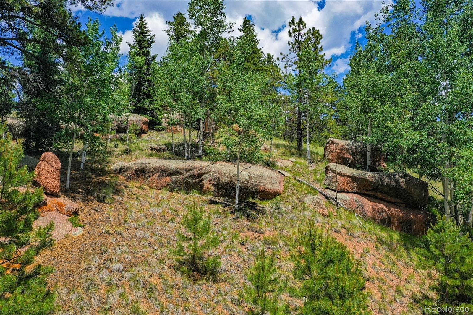 549 Spring Valley Lane Florissant CO 80816