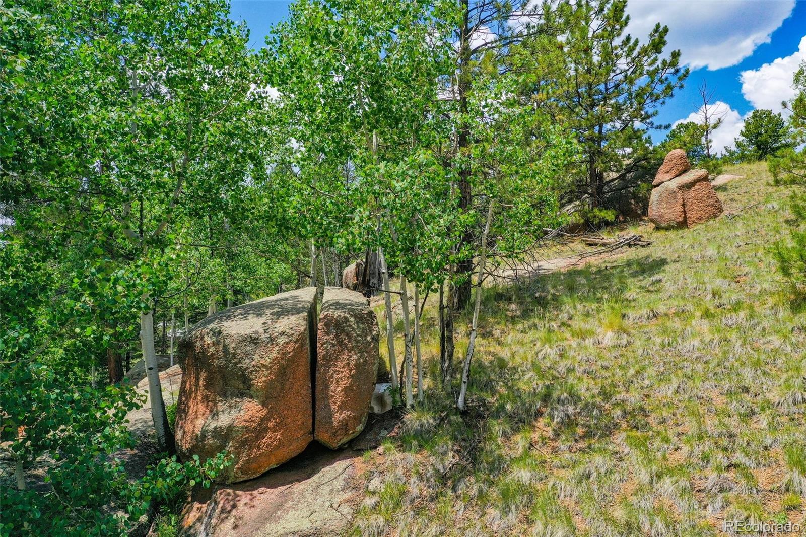 549 Spring Valley Lane Florissant CO 80816