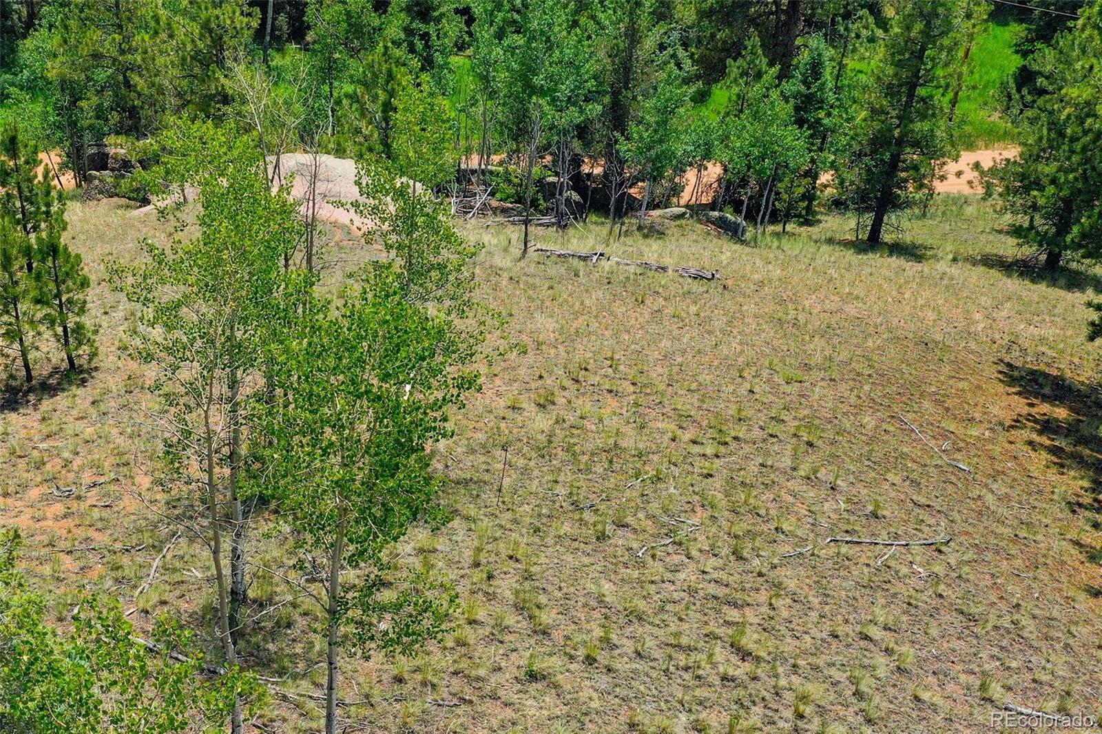 549 Spring Valley Lane Florissant CO 80816