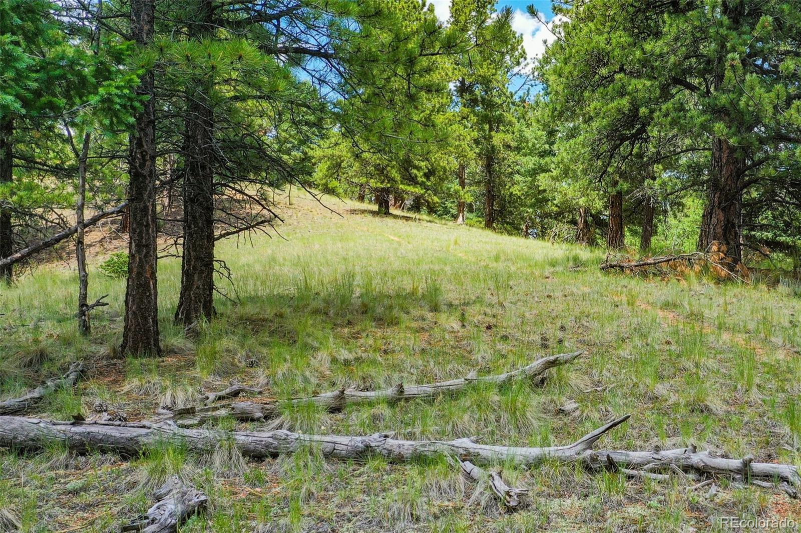 549 Spring Valley Lane Florissant CO 80816