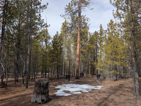 179 Cedar Drive Twin Lakes CO 80461