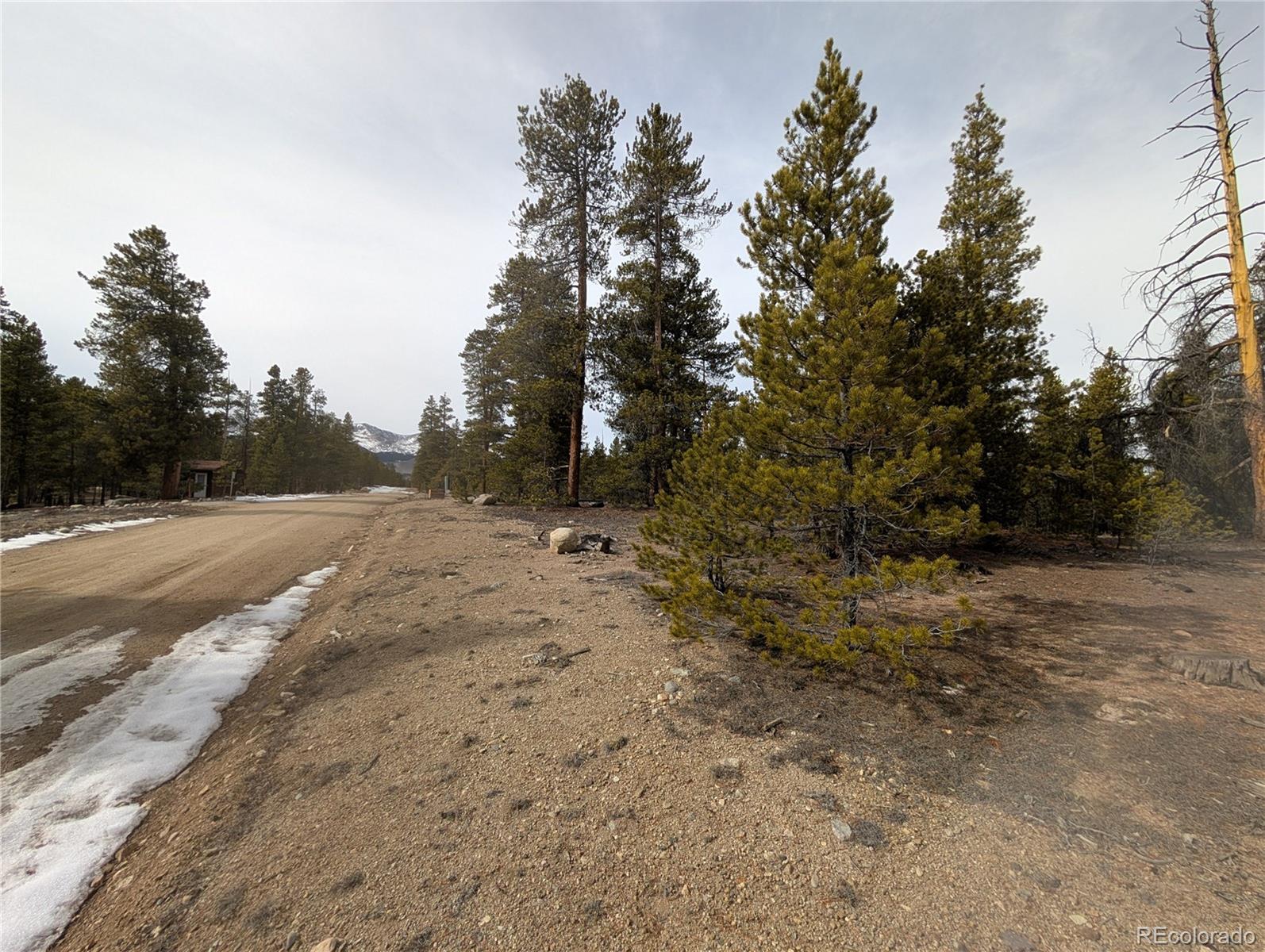 179 Cedar Drive Twin Lakes CO 80461