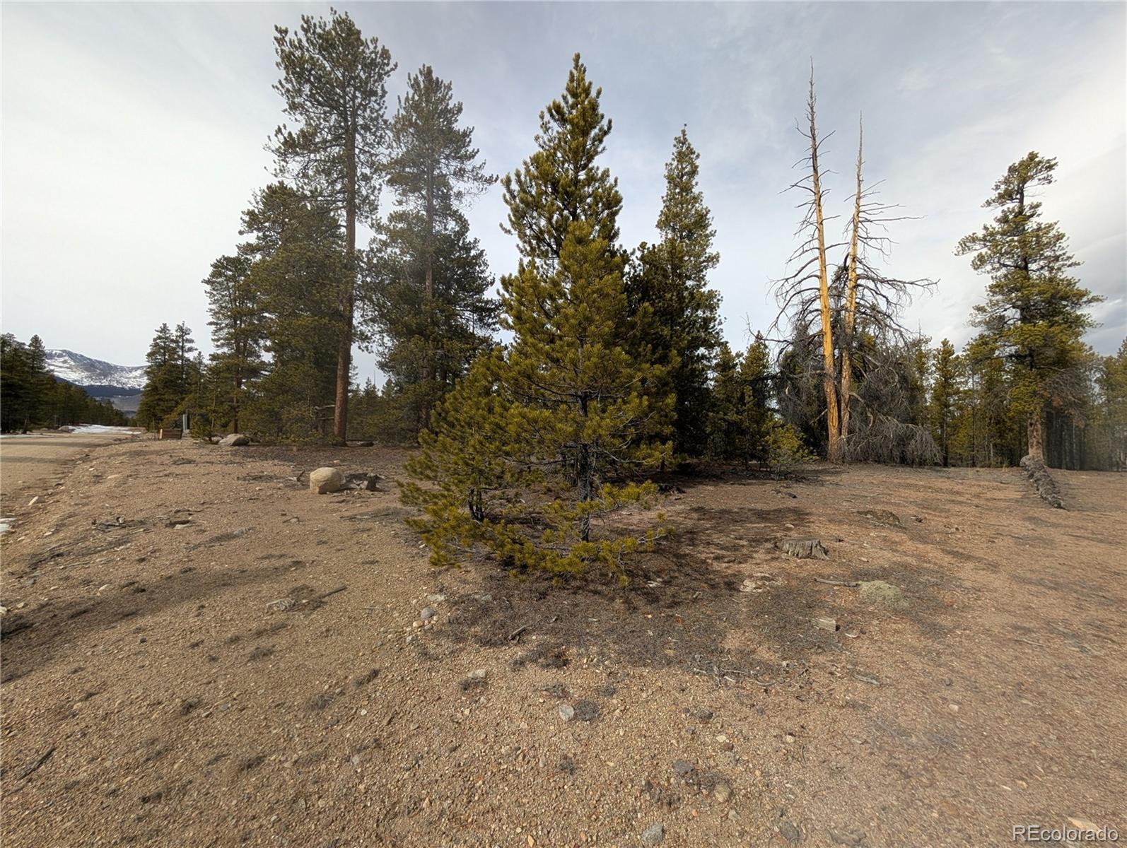 179 Cedar Drive Twin Lakes CO 80461