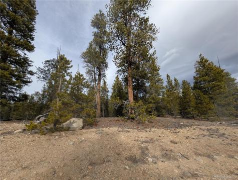 179 Cedar Drive Twin Lakes CO 80461