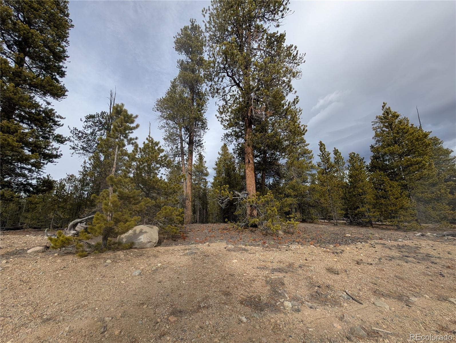 179 Cedar Drive Twin Lakes CO 80461