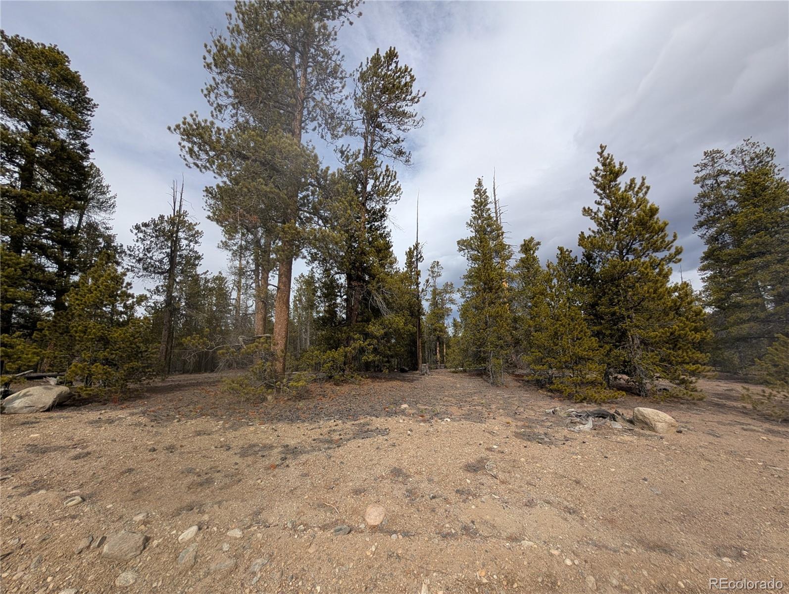 179 Cedar Drive Twin Lakes CO 80461