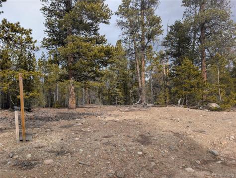 179 Cedar Drive Twin Lakes CO 80461