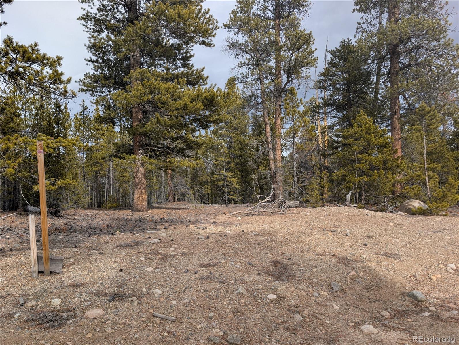 179 Cedar Drive Twin Lakes CO 80461