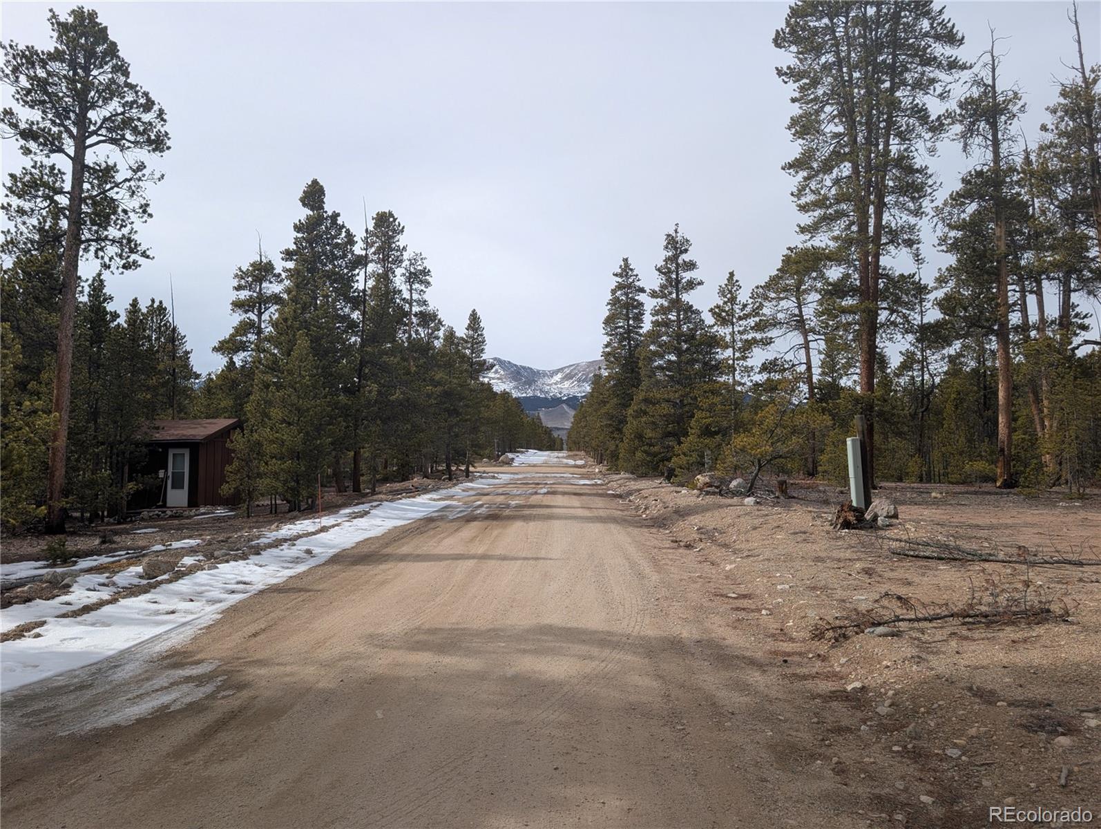 179 Cedar Drive Twin Lakes CO 80461