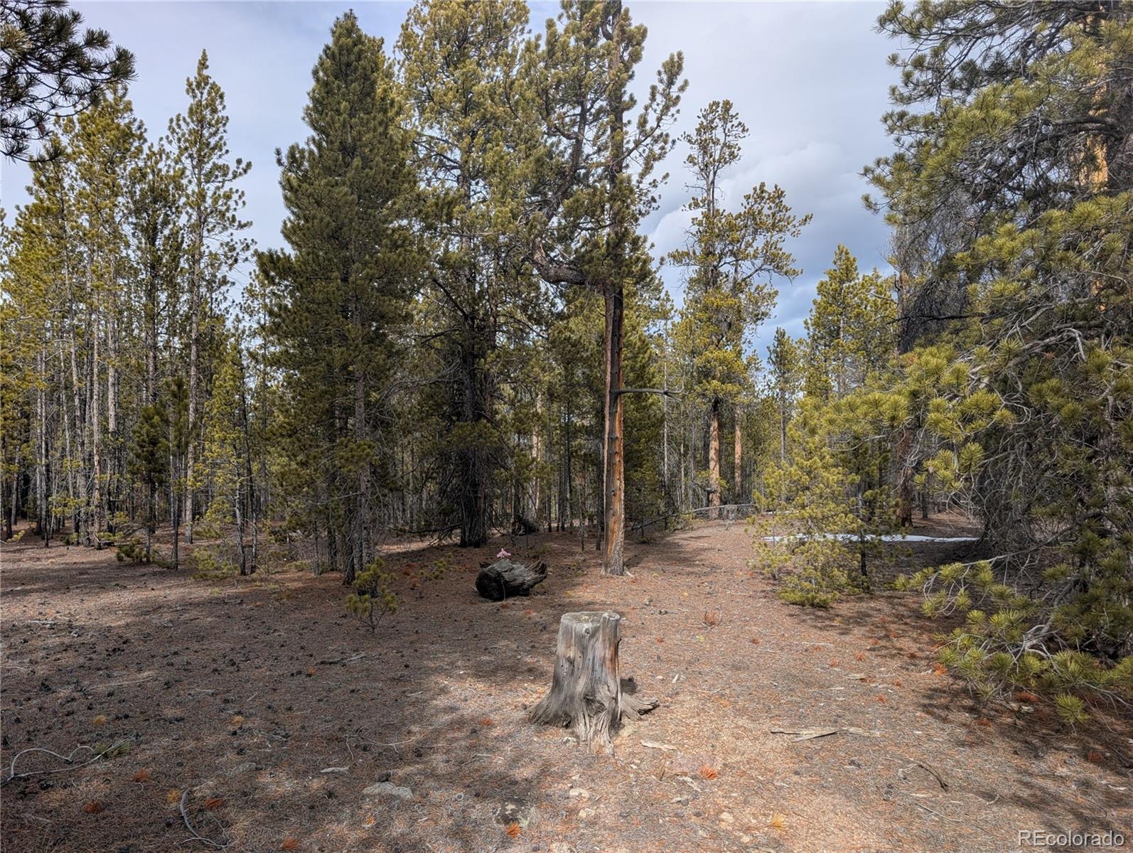 179 Cedar Drive Twin Lakes CO 80461