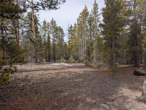 179 Cedar Drive Twin Lakes CO 80461
