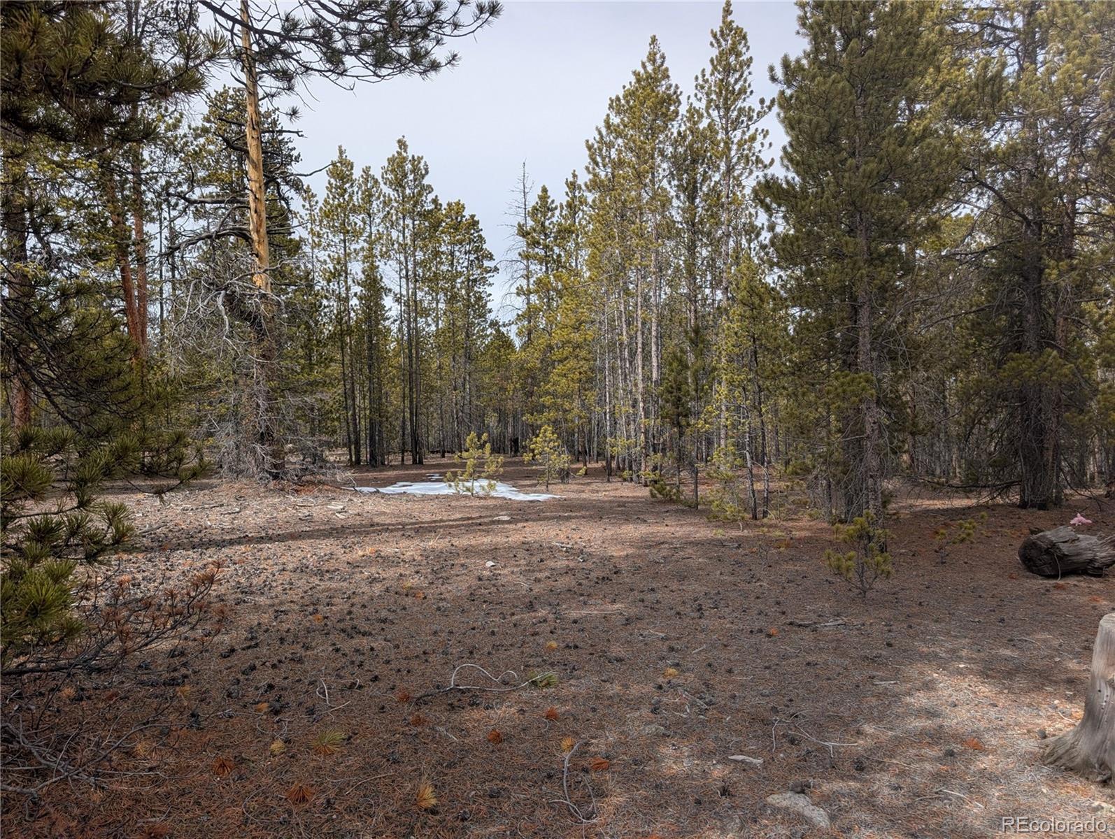 179 Cedar Drive Twin Lakes CO 80461