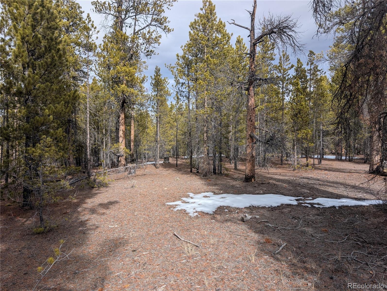 179 Cedar Drive Twin Lakes CO 80461