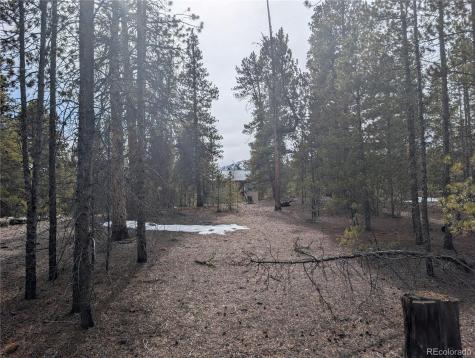 179 Cedar Drive Twin Lakes CO 80461