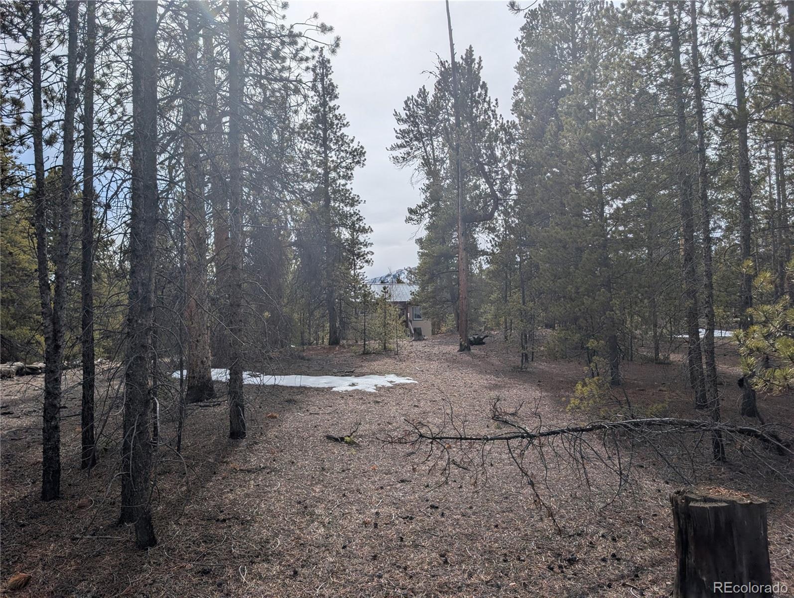 179 Cedar Drive Twin Lakes CO 80461