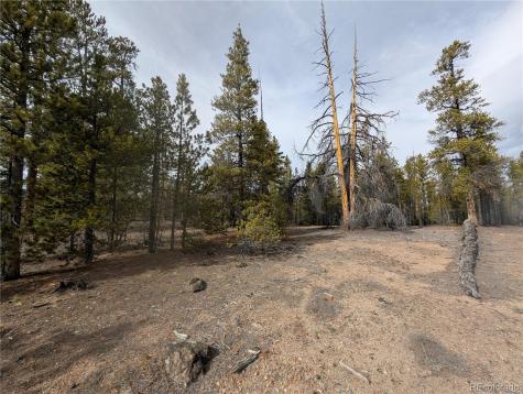 179 Cedar Drive Twin Lakes CO 80461