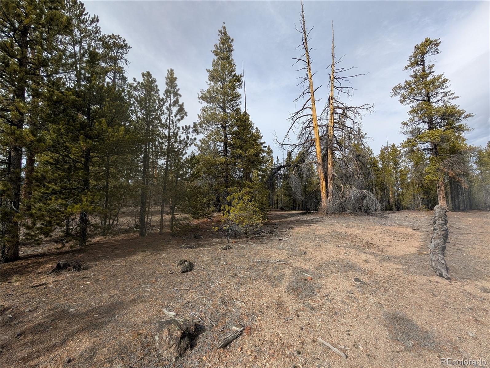 179 Cedar Drive Twin Lakes CO 80461
