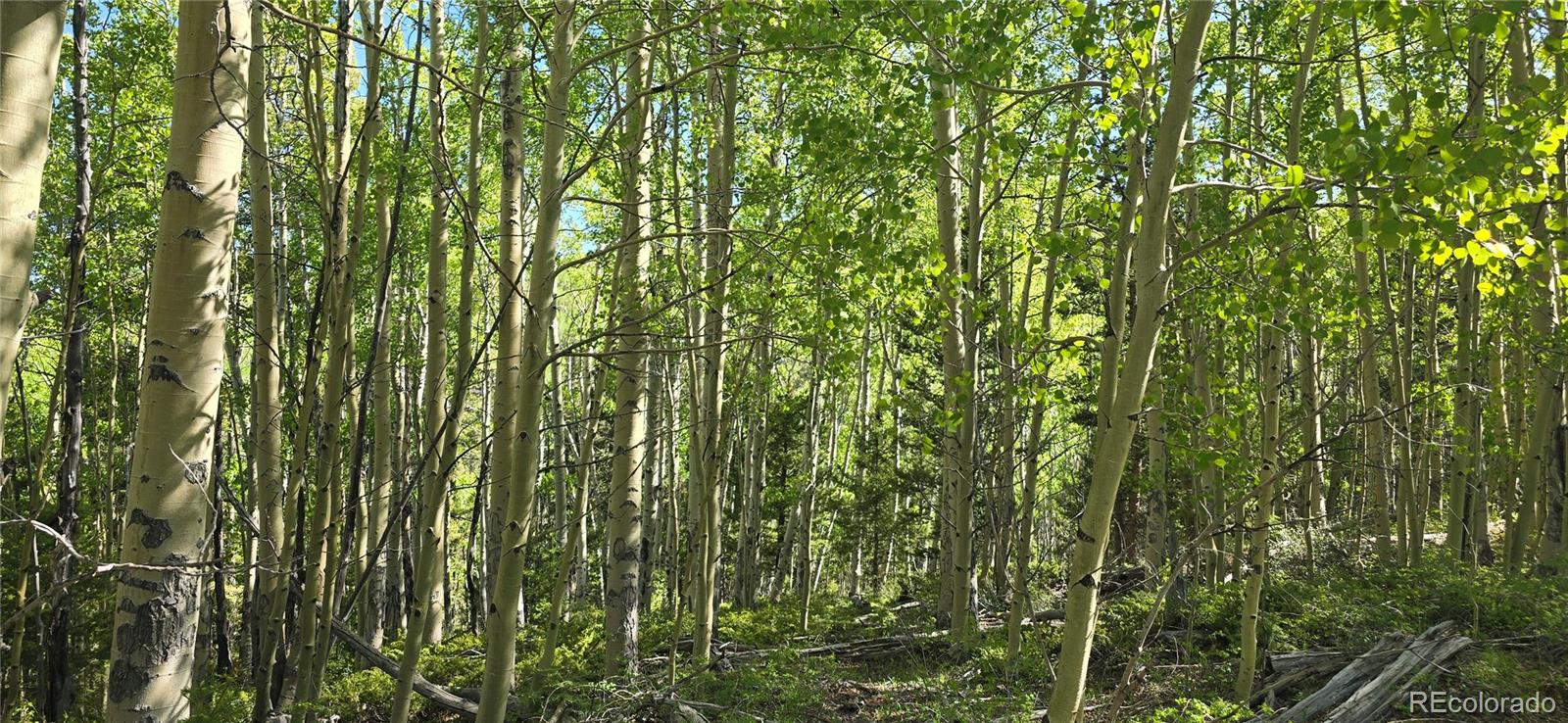 Lot 6708 Debbie Road Fort Garland CO 81133