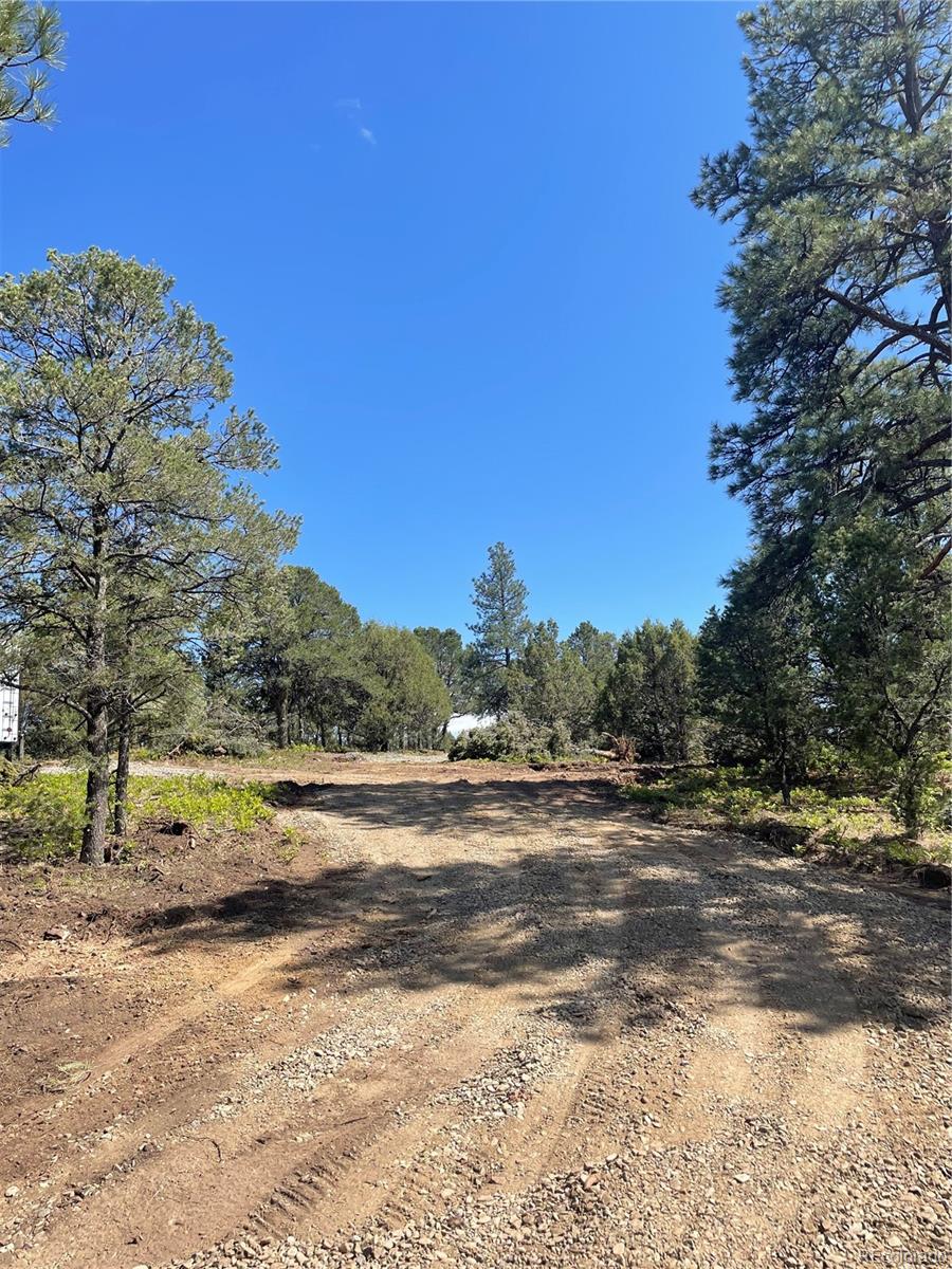329 Fishers Peak Parkway Trinidad CO 81082