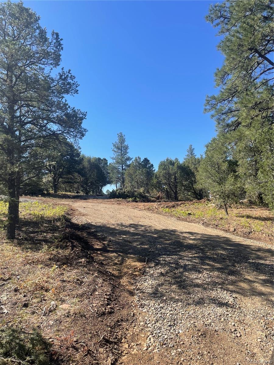 329 Fishers Peak Parkway Trinidad CO 81082