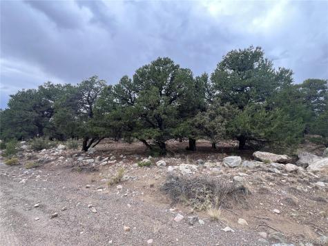 1917 Lone Pine Way Crestone CO 81131