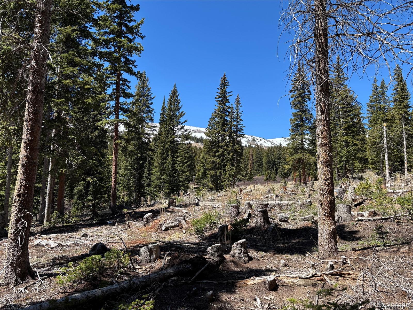 192 Kimmes Lane Breckenridge CO 80424