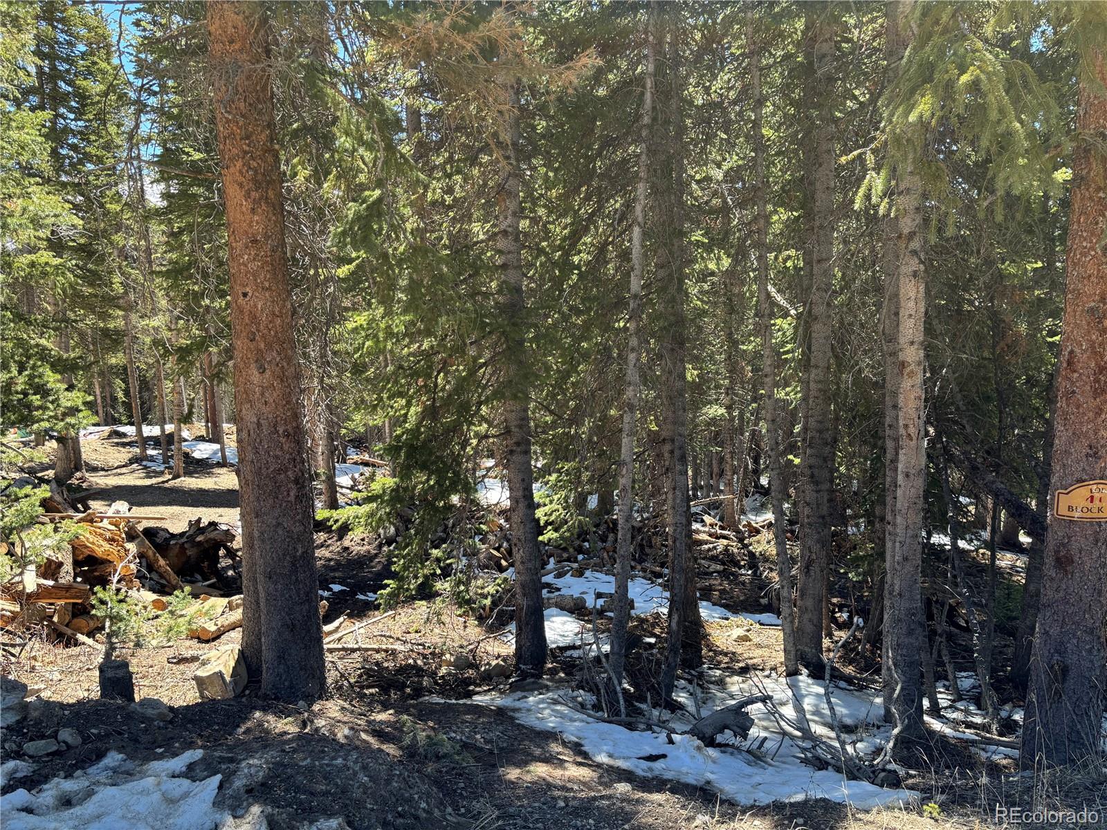 192 Kimmes Lane Breckenridge CO 80424