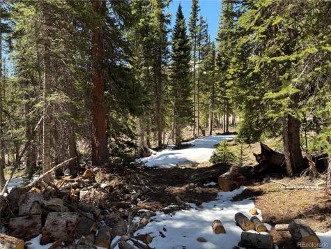 192 Kimmes Lane Breckenridge CO 80424