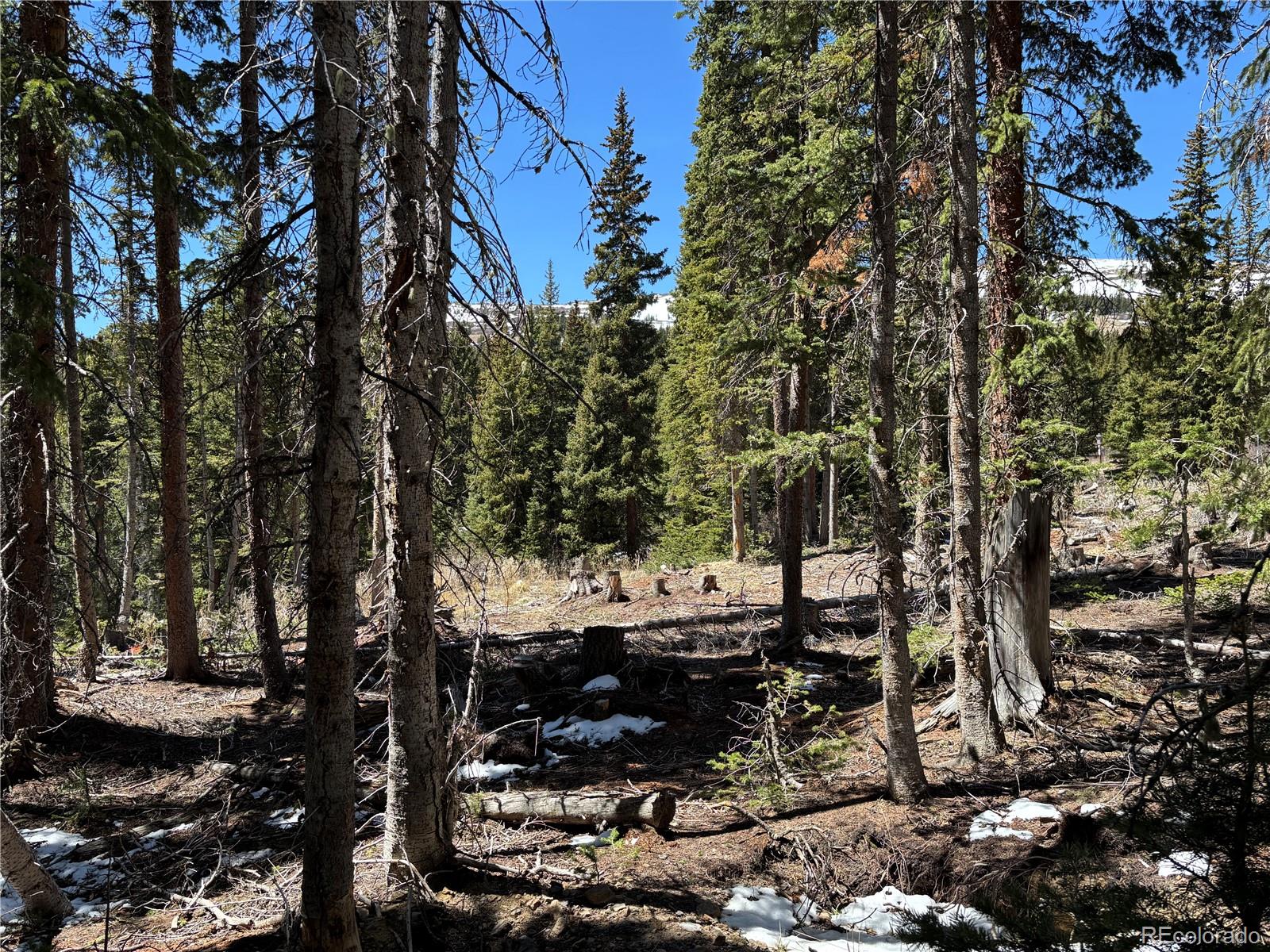 192 Kimmes Lane Breckenridge CO 80424