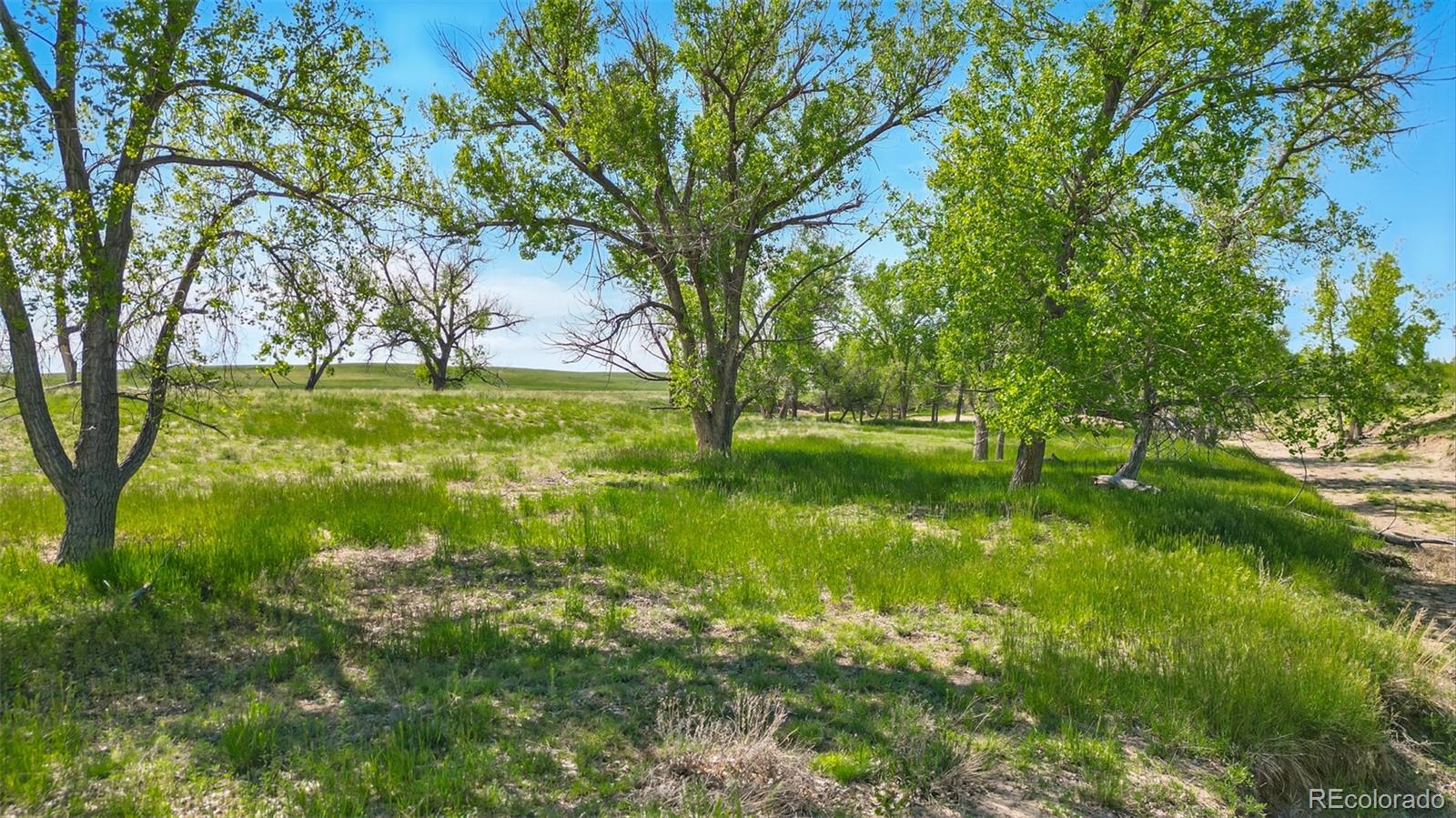 Parcel C W County Road 105 Ramah CO 80832