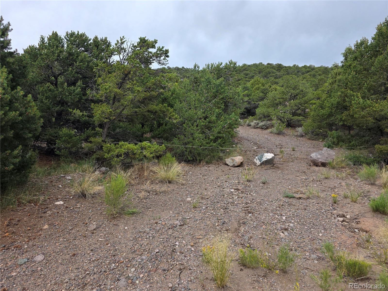0 Joy Road San Luis CO 81152