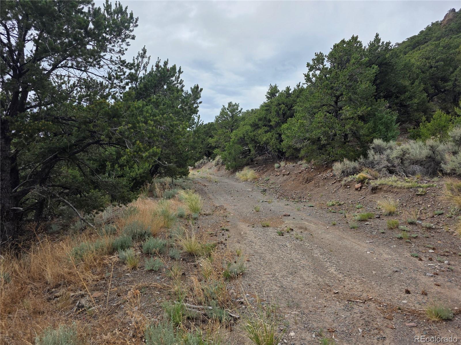 0 Joy Road San Luis CO 81152