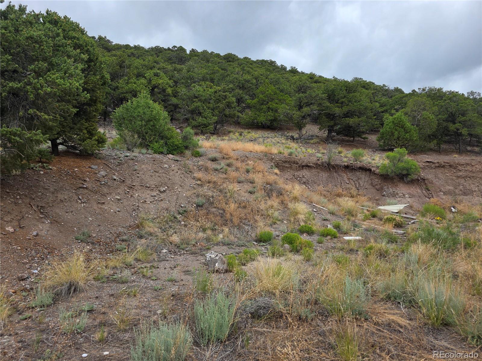 0 Joy Road San Luis CO 81152