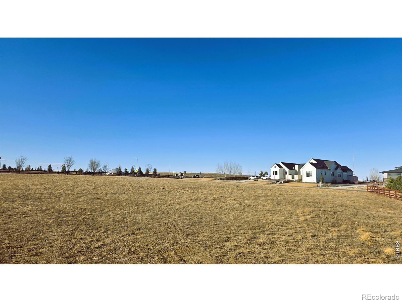 1508 Flowering Tree Court Windsor CO 80550