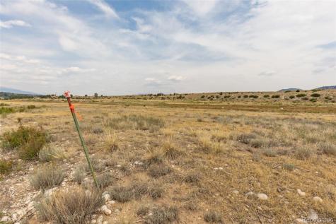 24257 River Rock Lane Buena Vista CO 81211