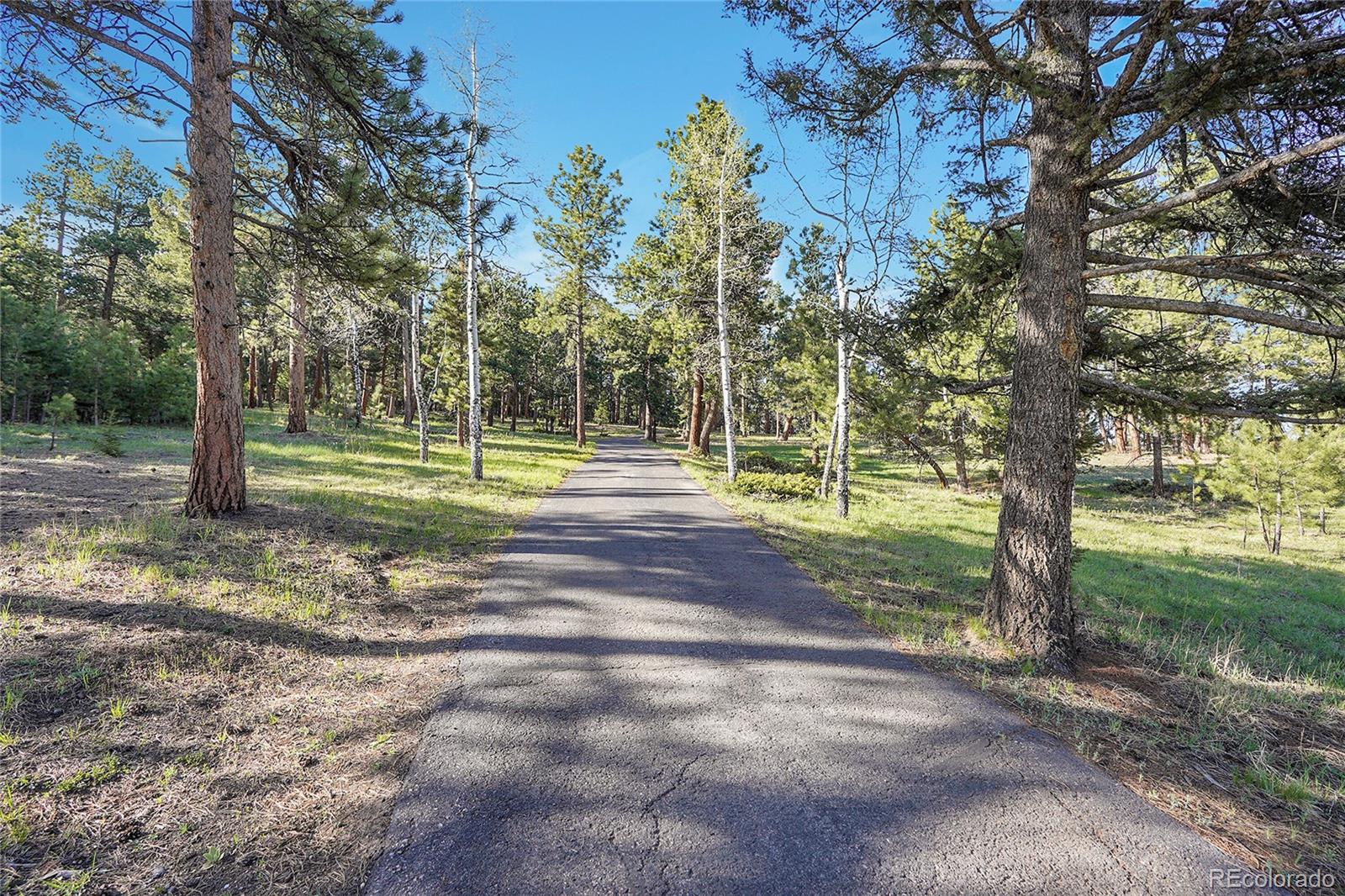 Molly Dr, Lot #1 Conifer CO 80433