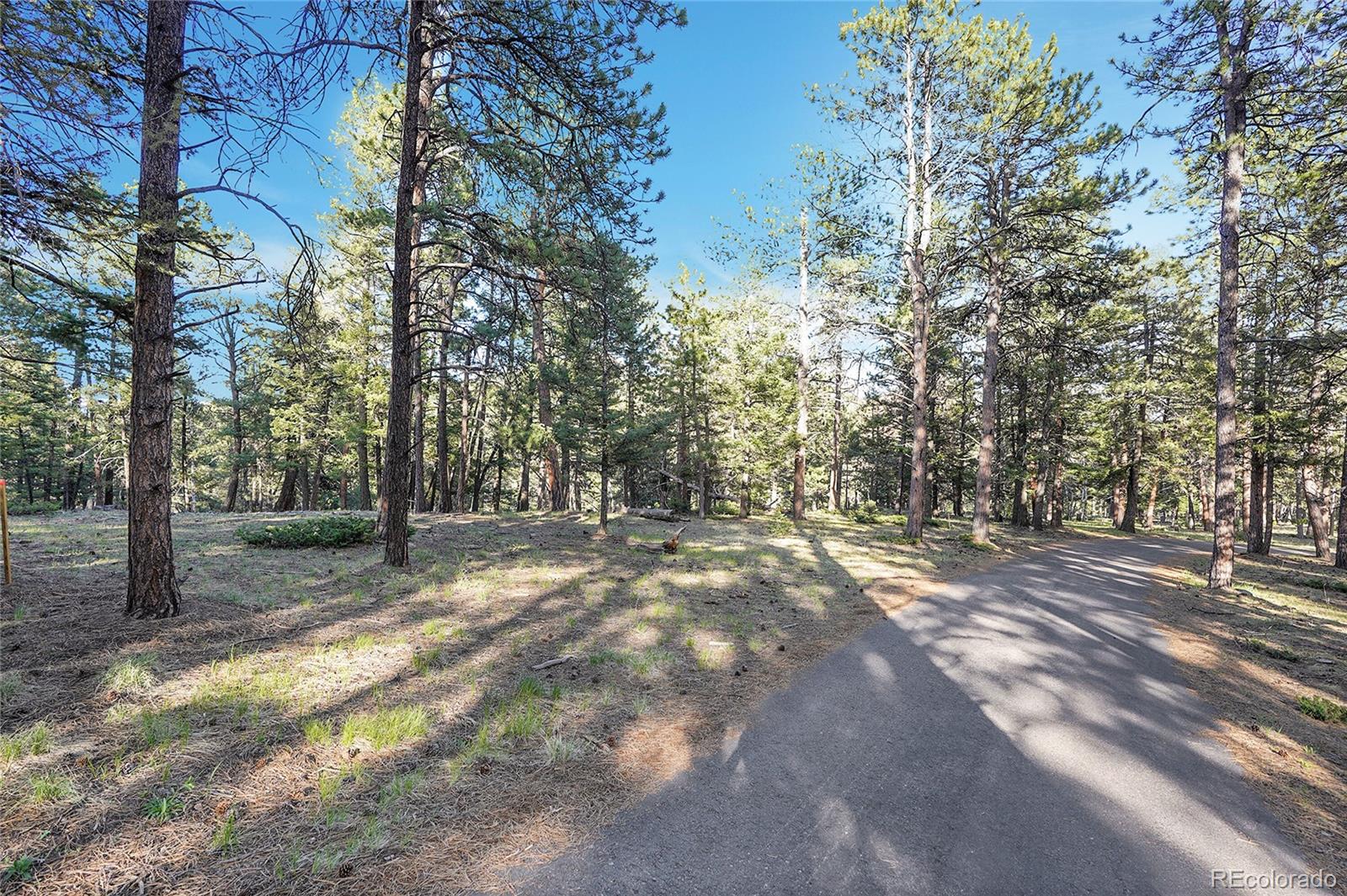 Molly Dr, Lot #1 Conifer CO 80433