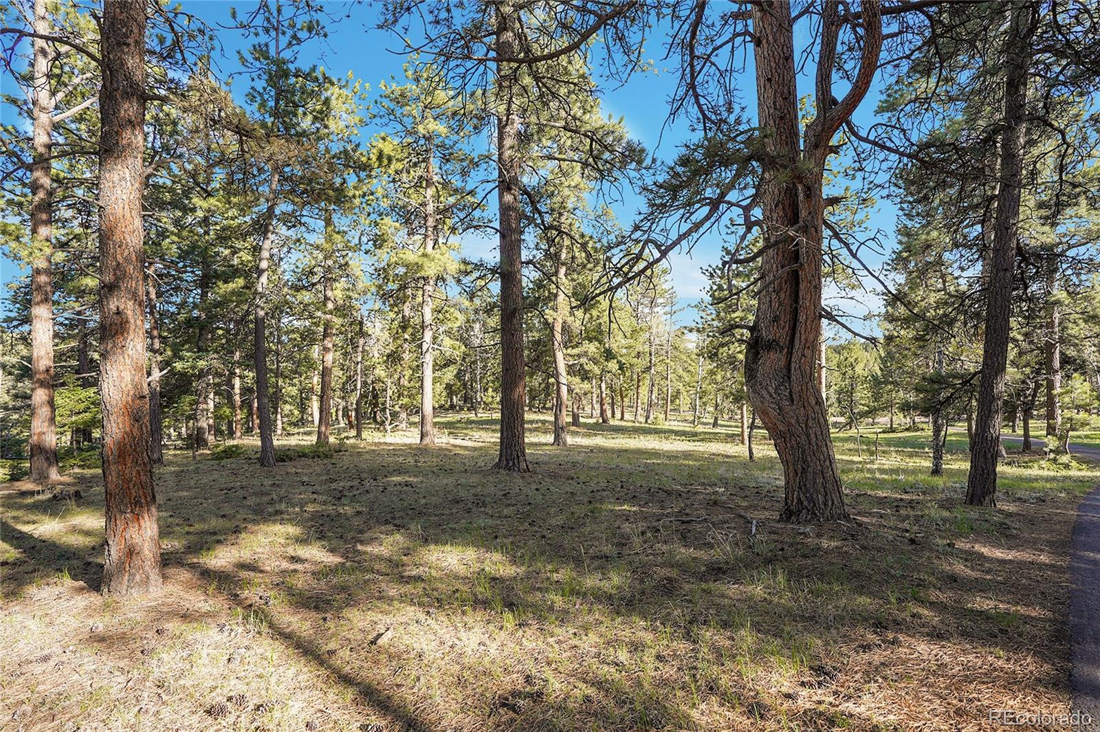 Molly Dr, Lot #1 Conifer CO 80433