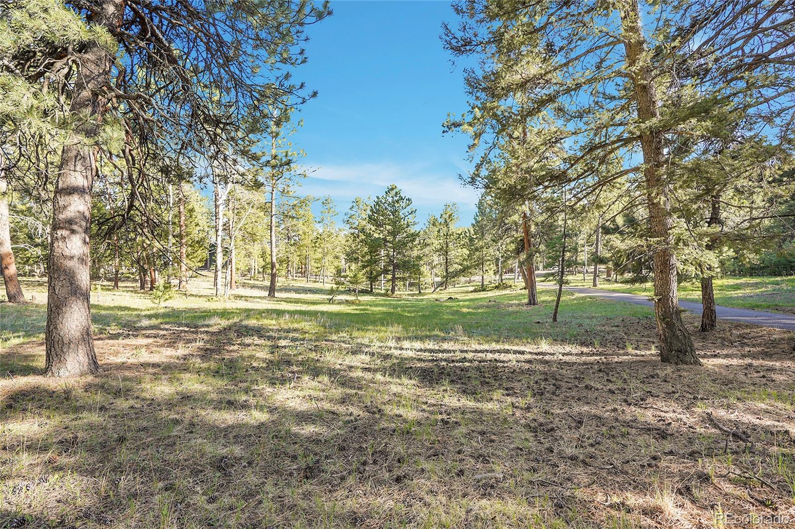 Molly Dr, Lot #1 Conifer CO 80433