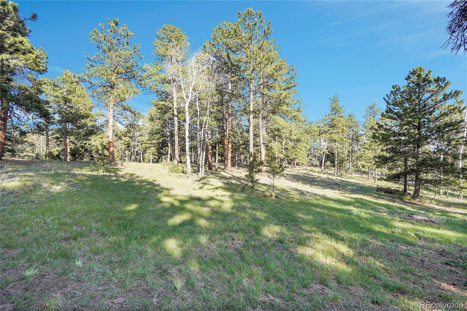 Molly Dr, Lot #1 Conifer CO 80433
