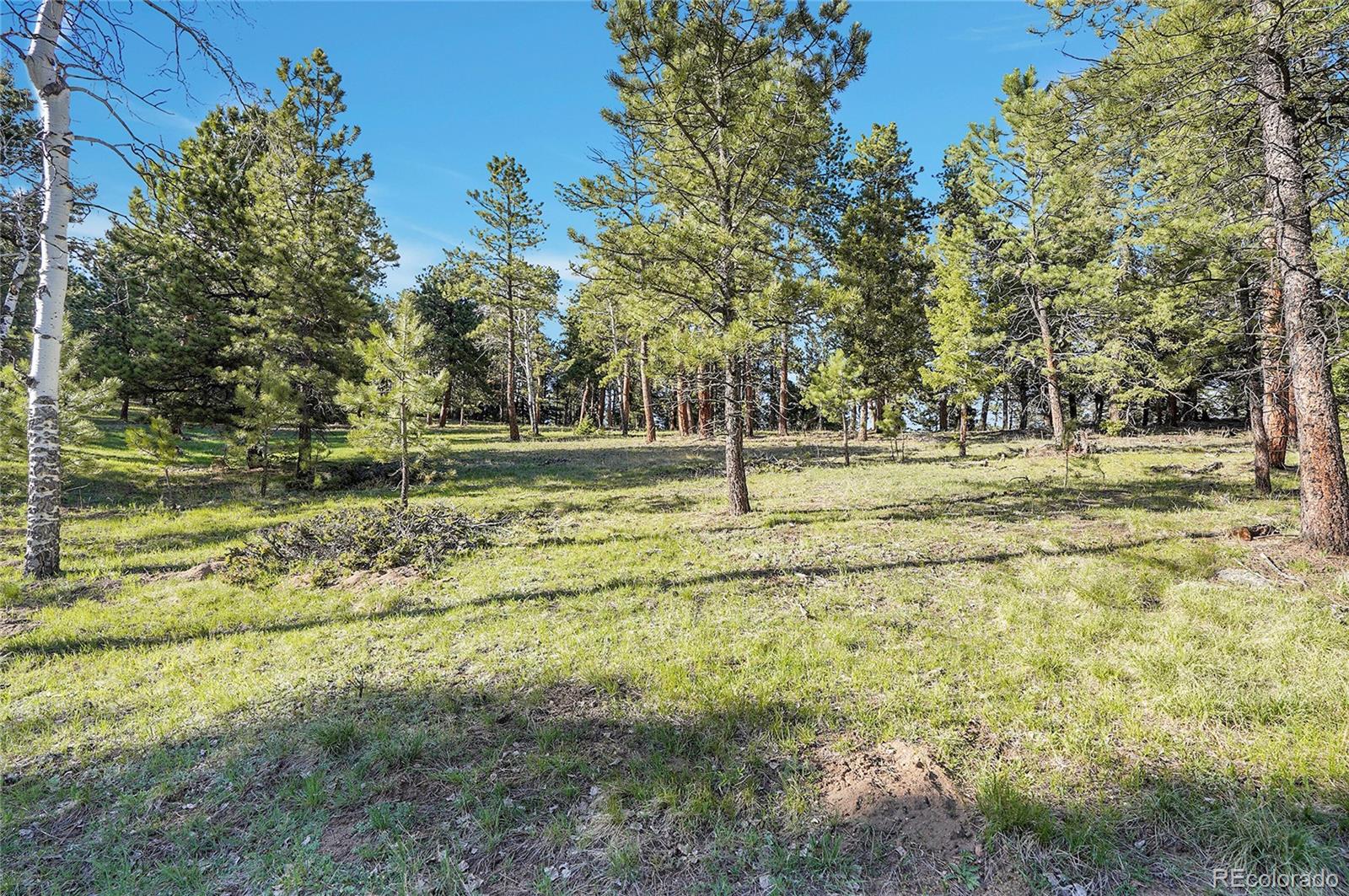 Molly Dr, Lot #1 Conifer CO 80433