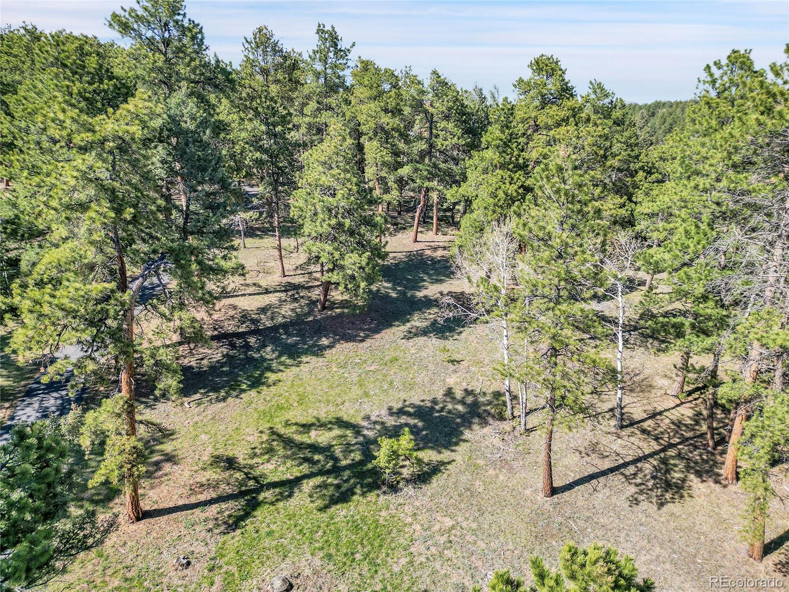Molly Dr, Lot #1 Conifer CO 80433