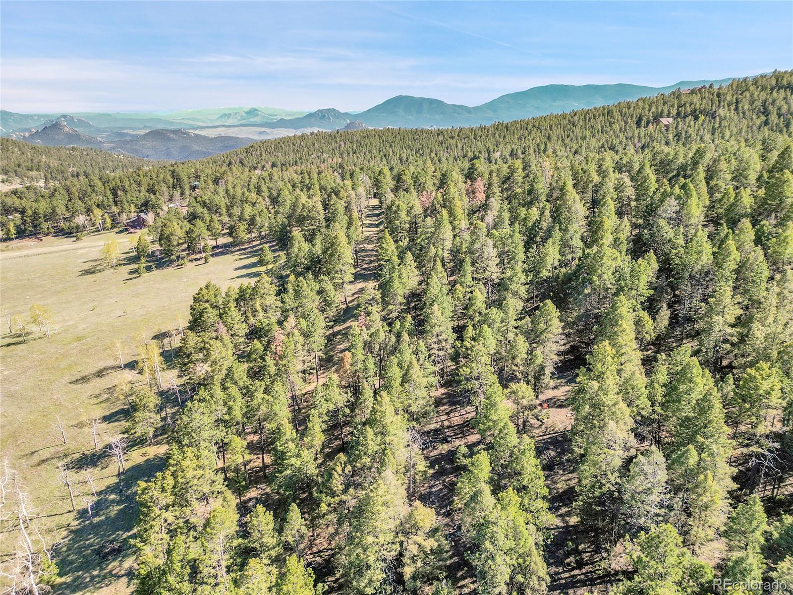 Molly Dr, Lot #1 Conifer CO 80433